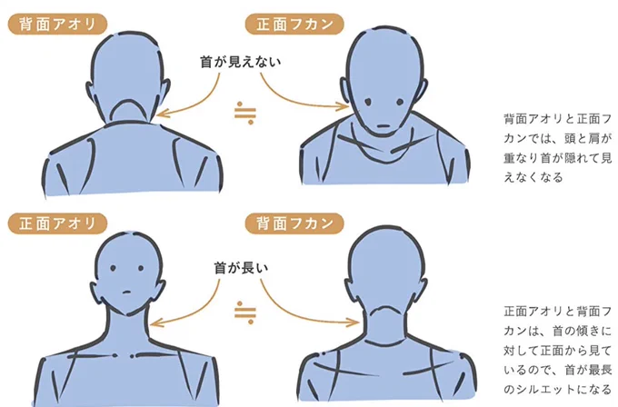 【アオリ、フカンの知られざる共通性‼︎】
背面アオリ≒正面フカン
正面フカン≒背面アオリ…
横図から共通性がわかります。
主に頭と肩の重なり具合や首の見え方を注視しましょう。
※画像は【新刊7/15日発売!!】
最強3ステップでラクラク顔・バストアップ作画術より
https://t.co/bLWSt9e865 