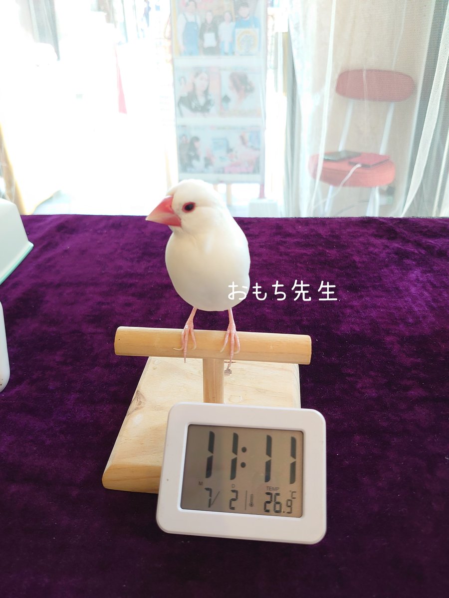 吉祥天女 画像 最新情報まとめ みんなの評価 レビューが見れる ナウティスモーション