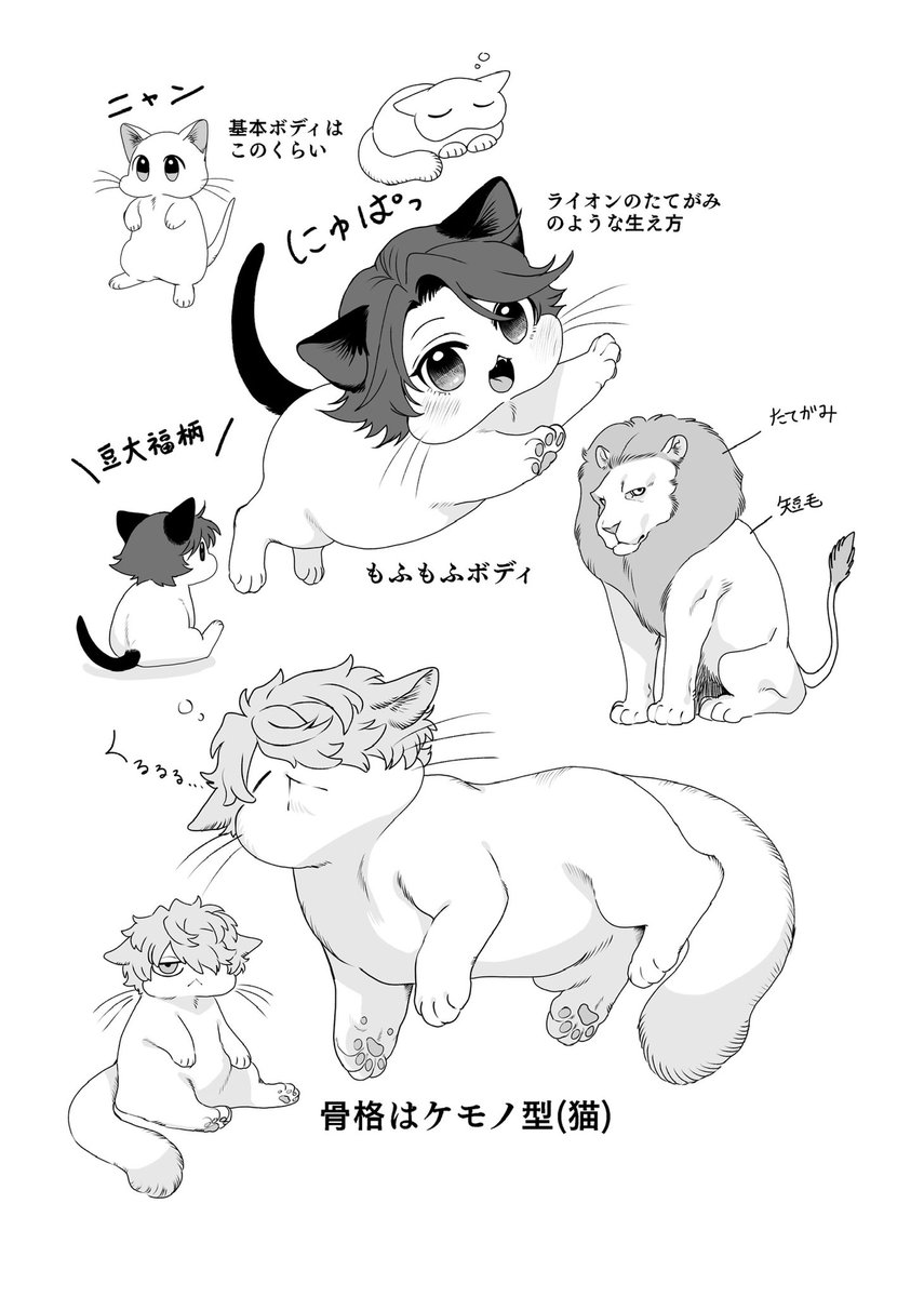 キニャブニャの図解幻覚 