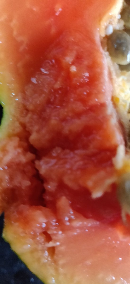 #kisankonnect  #rottenveggies  #rottenfruits  
Kisankonnect serves rotten fruits and veggies and don't even listen to their customer feedback...pathetic.. unable to upload more pix