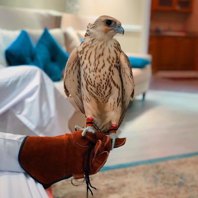 rilaaax1's tweet photo. #صورة_جديدة_للملف_الشخصي https://t.co/TD1IcMVYgn