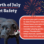 Photo by PitBullRescueCentral (@PBRCtweets)