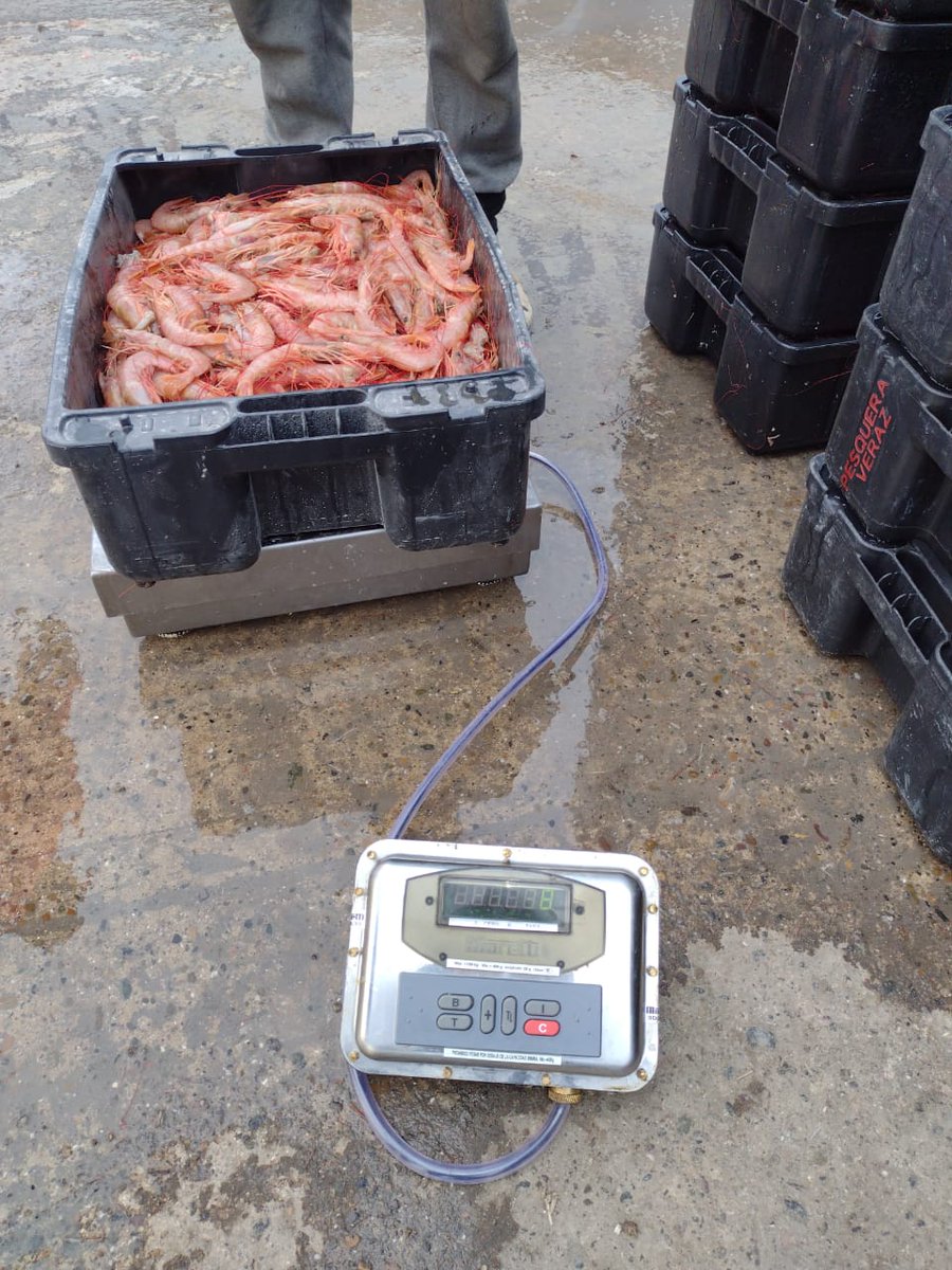 franalbanesi's tweet photo. Desde temprano en la mañana de hoy domingo hasta estas horas de la noche.
Control y fiscalización de descargas de #langostino capturado en aguas nacionales en los puertos de #Comodoro #Camarones #Rawson #Madryn #Chubut 
@drsuarezj https://t.co/JAJhVBOHGB