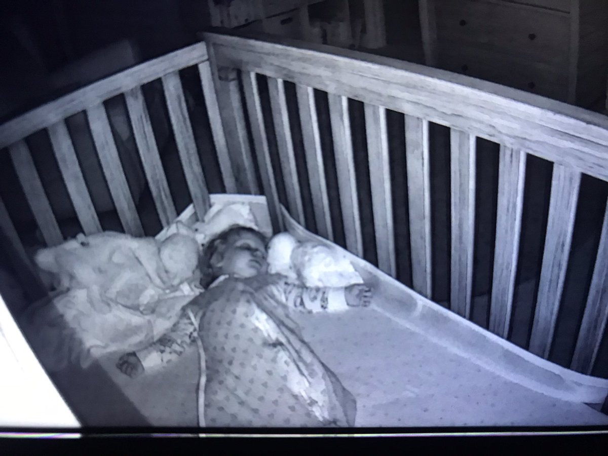 penny sleeping through fireworks is a mood