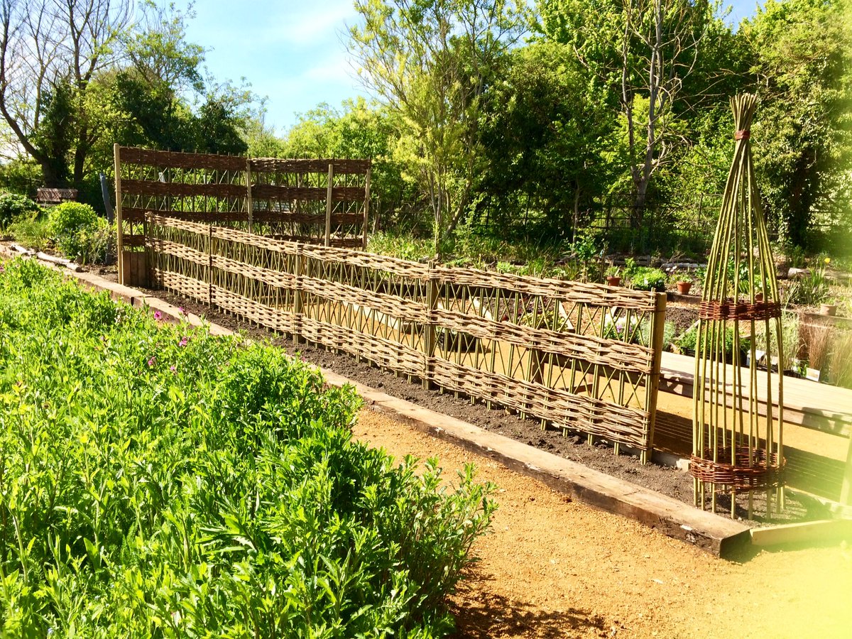 Busy #weaving an order for bespoke trellis panels for a customer.  Standard sizes 6’ or 2m wide by 3’- 6’ ( 1.2 - 2m ) tall with prices from £49.00. All certified as ‘UK-5ORG’ by <a href="/SoilAssociation/">Soil Association</a> #willow <a href="/OnlyBespokeUK/">Only Bespoke</a> <a href="/handmadebritain/">Handmade in Britain</a> woven in our workshop <a href="/MiltonKeynes_MK/">Milton Keynes City</a>