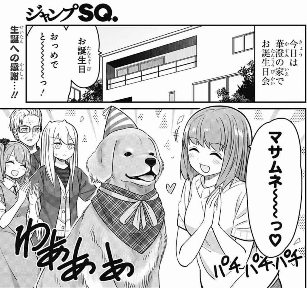 発売中のジャンプSQ.8月号に『カワイスギクライシス』載せてもらってます。

華澄の愛犬「マサムネ」の誕生日を祝う話。
みんなで愛犬連れて海に行く話。
そんな犬まみれの2本立てです。

楽しんでもらえたら嬉しいです。
よろしくお願いします! 