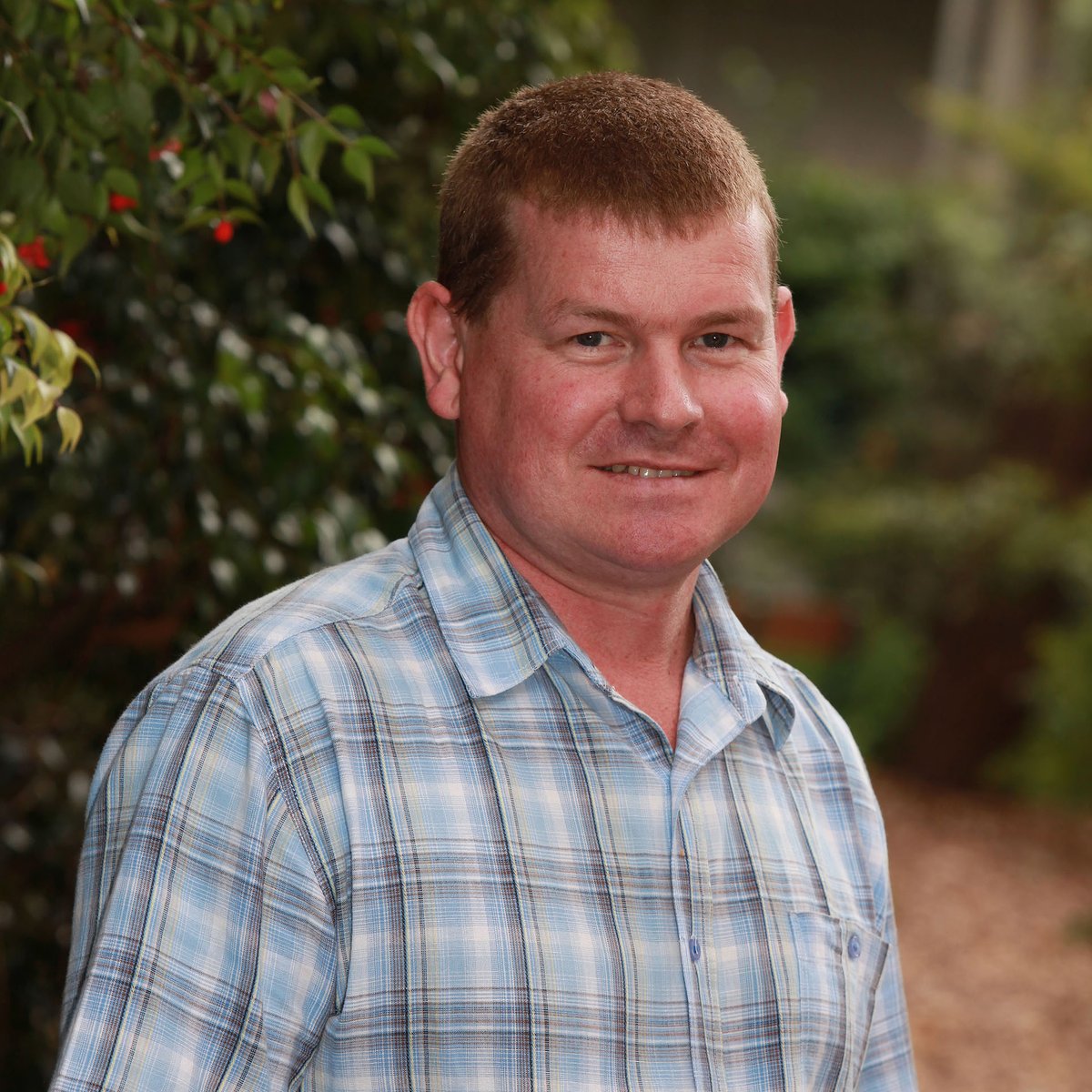 Innovative platform shortens elite beef cattle lines’ breeding time.  #UQResearch from Prof Tim Mahony and <a href="/dixia2018/">Di Xia</a> @GIH_UQ 

bit.ly/3R7ujUg