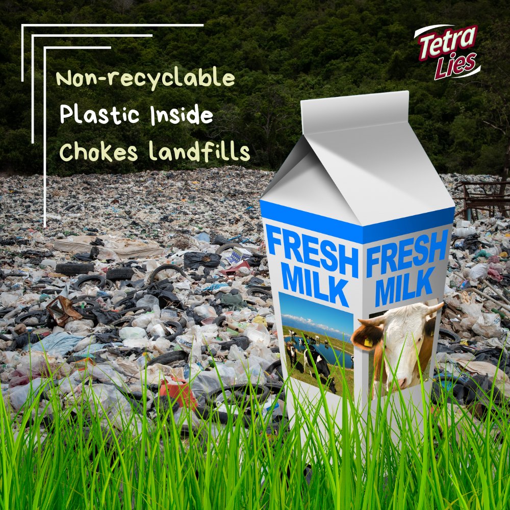 Remember these when you buy a milk carton next time:
- They are non-recyclable
- They have plastic layers inside
- They end up in the landfills
