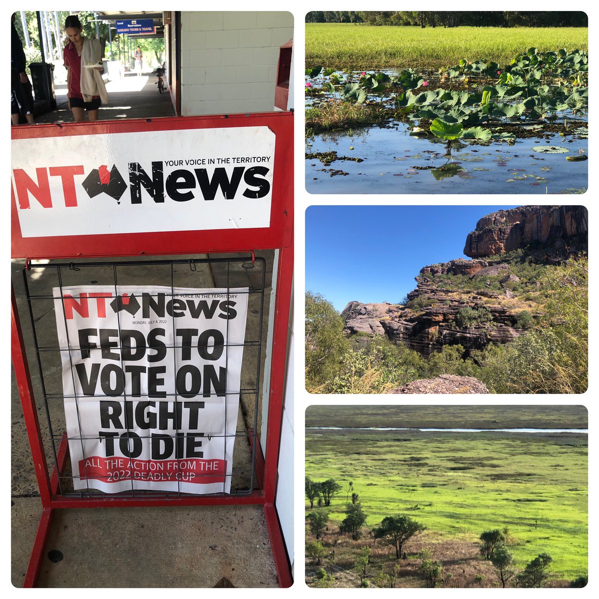 When a DWDV Board Member travels in the NT- all sights are stunning- but some stick out more than others! #VAD4NT #VAD4ACT #VAD #auspol #TerritoryRights
