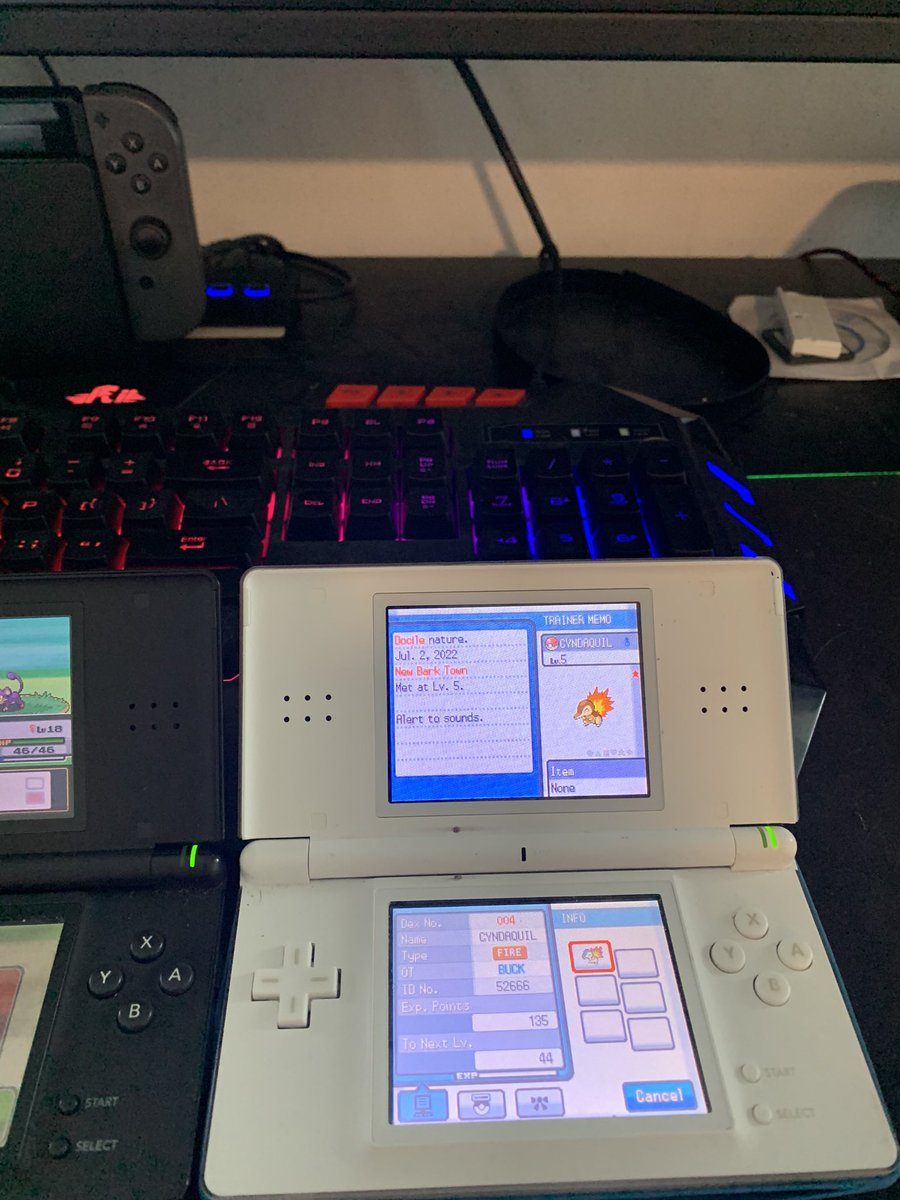 Shiny Cyndaquil after 1347 SR in soulsilver family completed ✅