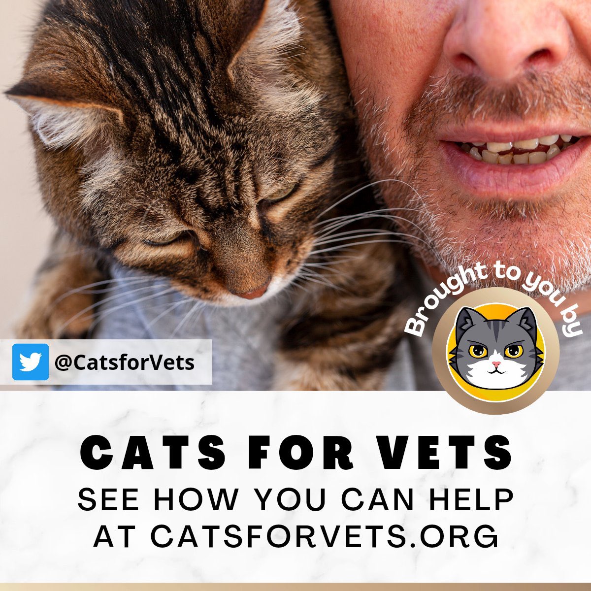 defycat's tweet photo. Hey @rickygervais. Huge fan of #Afterlife Remember lonely cat lady from S2E3? Very emotional scene. You obviously love connecting cats & the elderly. I know you’re involved in many animal charities. Please check out #catsforvets https://t.co/GKS9rsDTuS a global non profit. https://t.co/FU1WSz0JnV