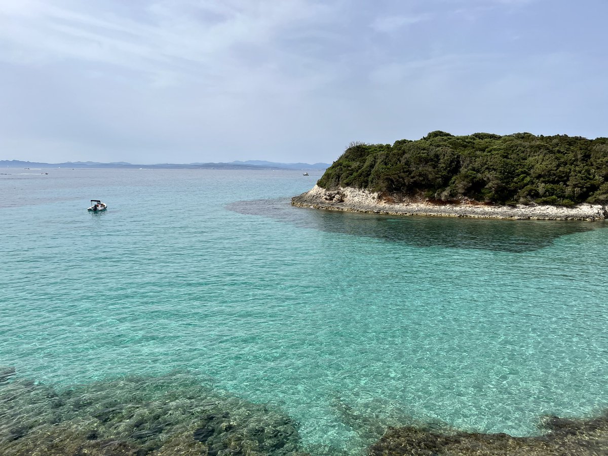 Clément Rog tweet media