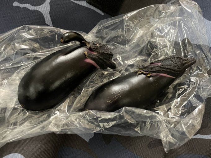 生えたナスをいただいた 