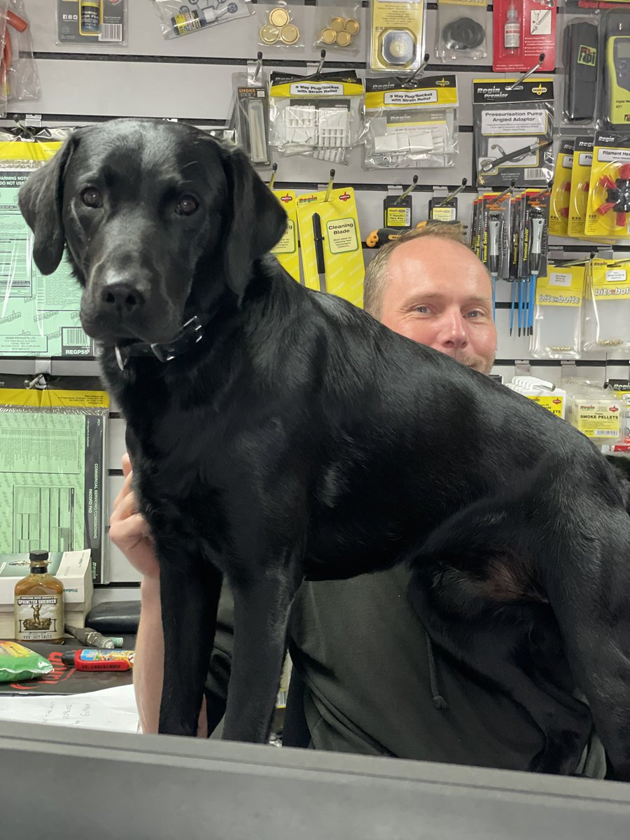 RothenbergerAnt's tweet photo. The gaffer and Neil this morn at @HscltdSales 😂always brightens my day! #RothenbergerRalphy #Sheffield #blacklabs #blacklabsoftwitter https://t.co/T7HqMZcoA6