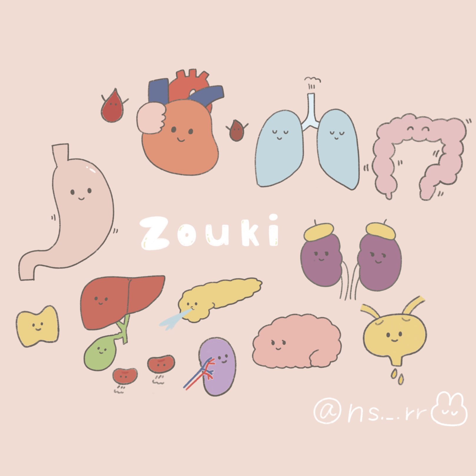 じに Nicu助産師 やさしい臓器イラスト T Co Qypodm7los Twitter