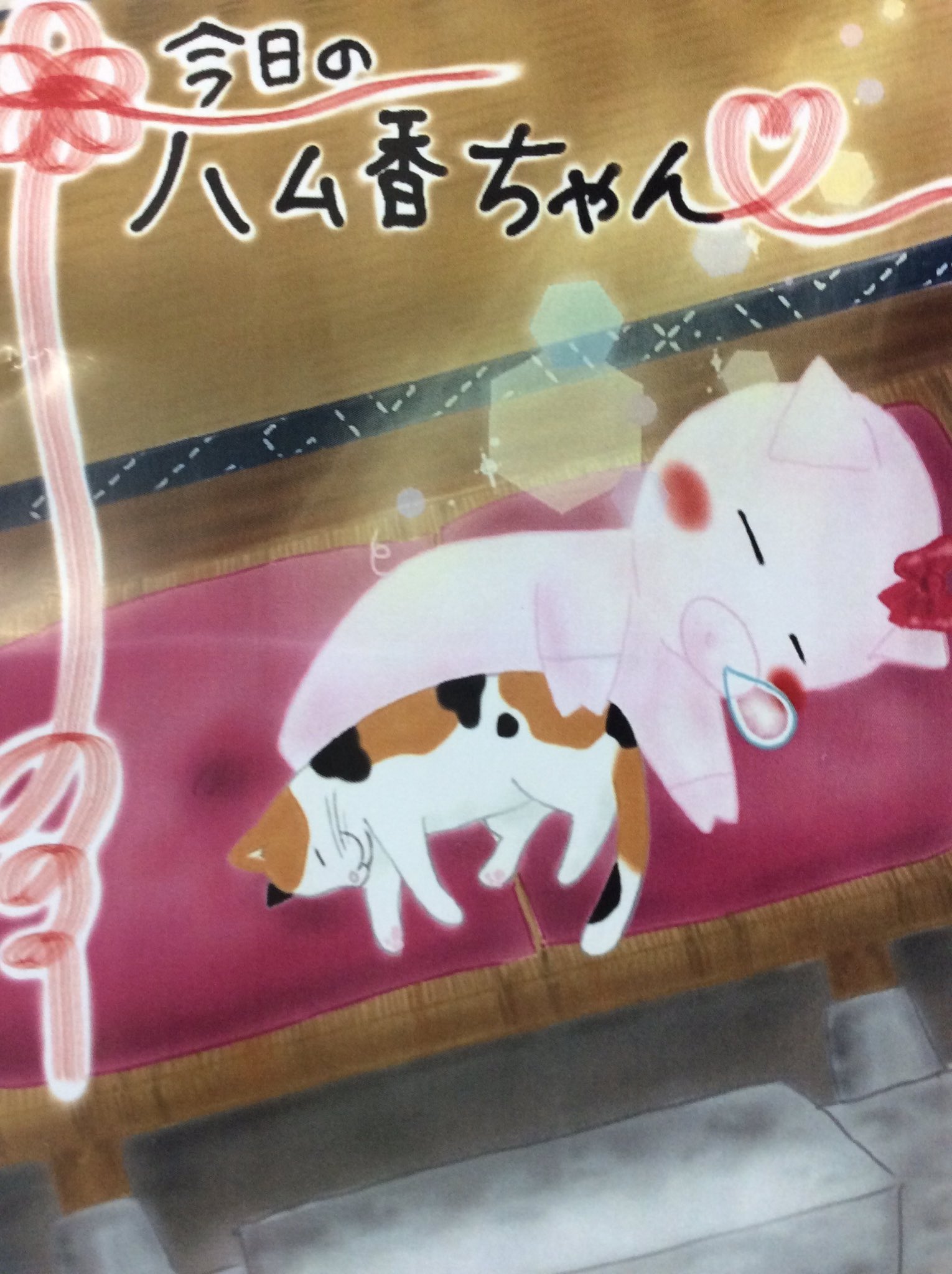 Tsukubaham 筑波ハム通信 今日のハム香ちゃん 今週は少し暑さが和らぎそうですね ちょこっとのお昼寝で疲れた体を休ませよぅ 筑波ハム つくば陣屋 ハム香ちゃん ぶた イラスト かわいい 手書き ポスター 昼寝 ネコ T Co Kryg1hanhd
