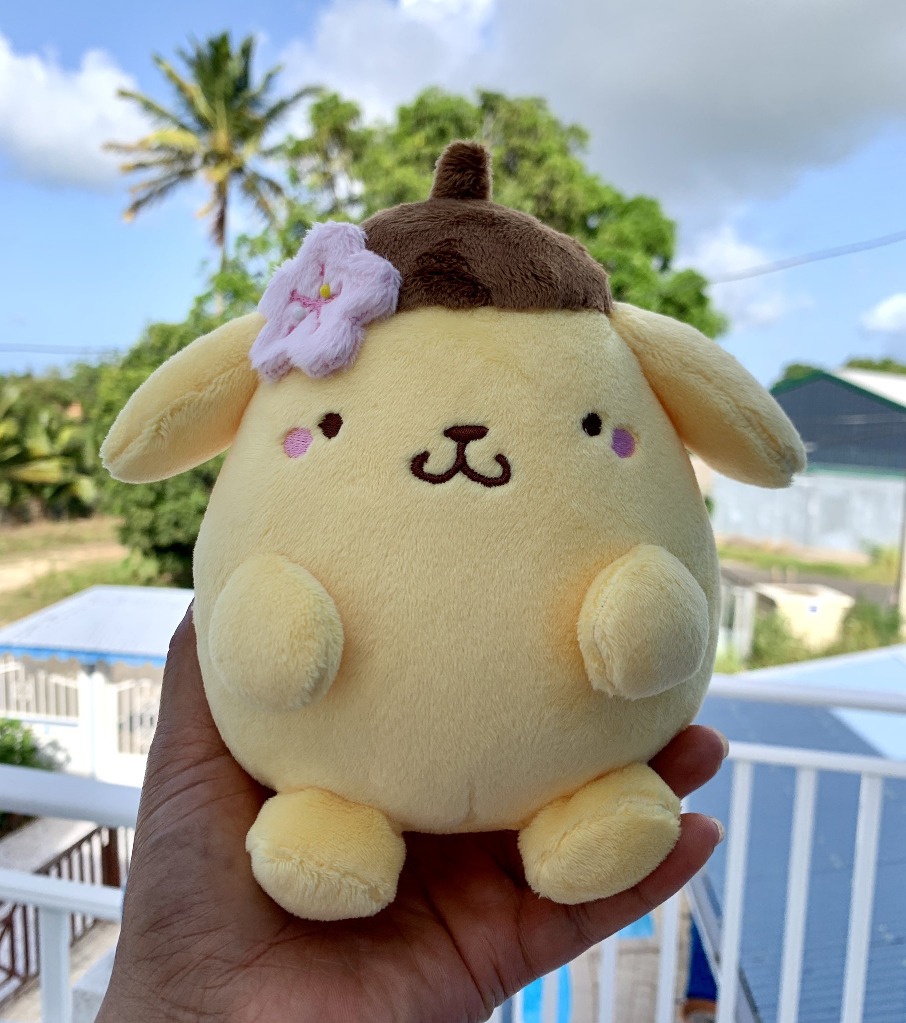 Pompompurin plush sale