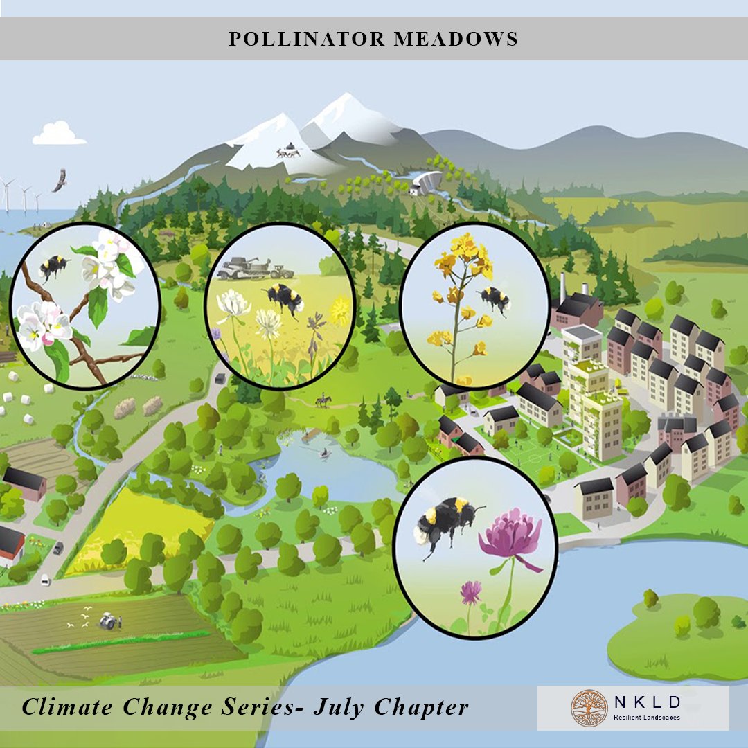 NKLD_Goa's tweet photo. Here's our July chapter for the Climate Change series!
.
Watch this space for further updates and information!
#climatechange #sustainability #pollinatormeadow  #pollinatorfriendly #nativeflowers #pollinatorgarden  #climatesolutions #greenspaces #climatecrisis #bethechange #nkld https://t.co/h5PmvVTFQb