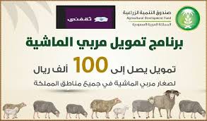 #الاكثار_من_الدعاء_وذكرالله
لمربي المواشي 
اغتنم فرصتك الان 
نسجل لك لتحصل على دعم صغار مربي المواشي 
دعم اموال 
دعم اعلاف 
تواصل خاص واحصل على الدعم