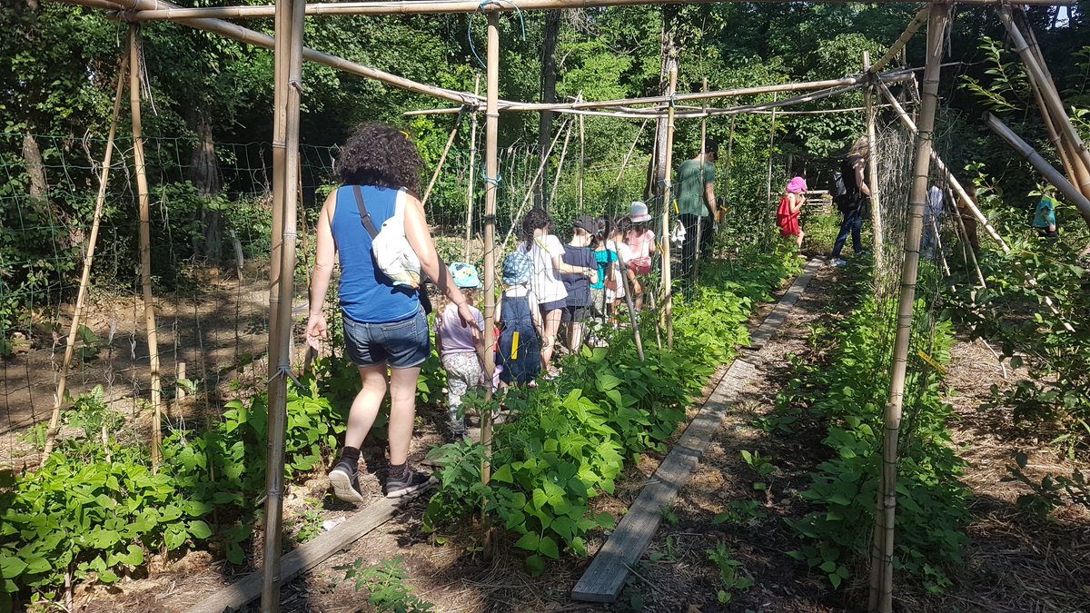 fortspourdemain's tweet photo. 🌱 Fin des Ateliers 2022 🌱

En cette fin d'année, les primaires et maternels sont de retour à La Forêt-jardin du Fort de Sermenaz, encadrés par @fortspourdemain

Ils prennent 1 réel plaisir à disposer des plantes compagnes auprès de leurs arbres

Déjà 2 saisons !
A TRÈS VITE https://t.co/S0dojUV6Au