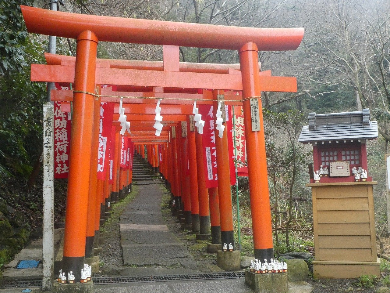 旅鉄walker 佐助稲荷神社 赤い鳥居がたくさん並ぶ参道が印象的な神社 源頼朝を歴史的快挙に導いたという伝説から別名 出世稲荷 と呼ばれ 出世や開運のパワースポットとして知られている T Co Chiqzdxywt Twitter