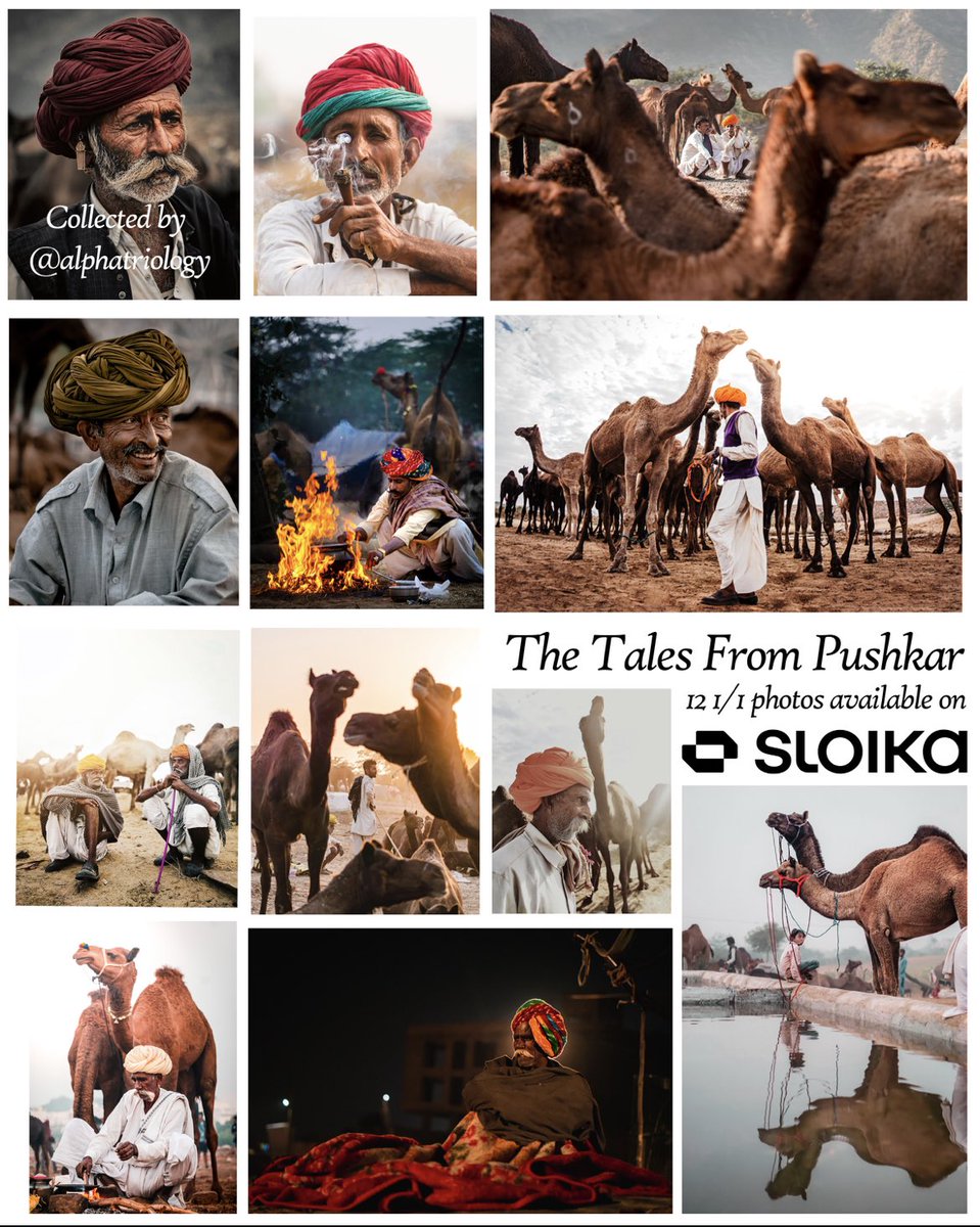Himanshu Pagariya | | Travel photographer 📷 (@himanshuphotos) on Twitter photo Gm everyone!
“The Tales from Pushkar” is a collection of 12 1/1 #nftphotographs
Shot over past 3 years at Pushkar camel fair!
sloika.xyz/himanshup.eth/…
11/12 are remaining to be collected!
Available on <a href="/sloikaxyz/">Sloika.xyz</a> ❤️
F.p. :- .20 eth
Please rt/qrt and support 🤗 Gm everyone!
“The Tales from Pushkar” is a collection of 12 1/1 #nftphotographs
Shot over past 3 years at Pushkar camel fair!
sloika.xyz/himanshup.eth/…
11/12 are remaining to be collected!
Available on <a href="/sloikaxyz/">Sloika.xyz</a> ❤️
F.p. :- .20 eth
Please rt/qrt and support 🤗