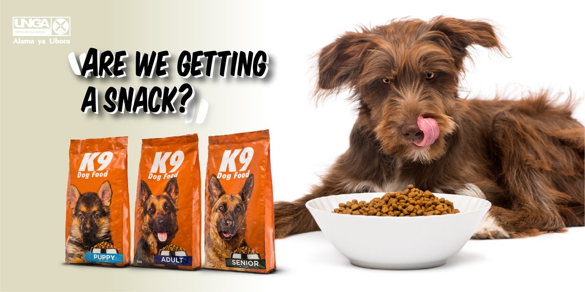 Your furry friend’s favourite treat is available. Call Bidhaa Mlangonii on +254 707 202 020 and have #K9DogFood delivered straight to your doorstep. #ABowlfulOfCheer