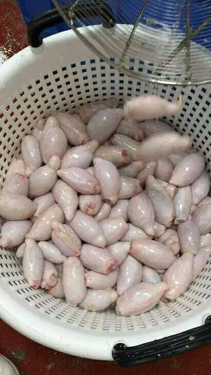 Wajackoyah cabinet mali Iko sawa hapa bdo pesa 2