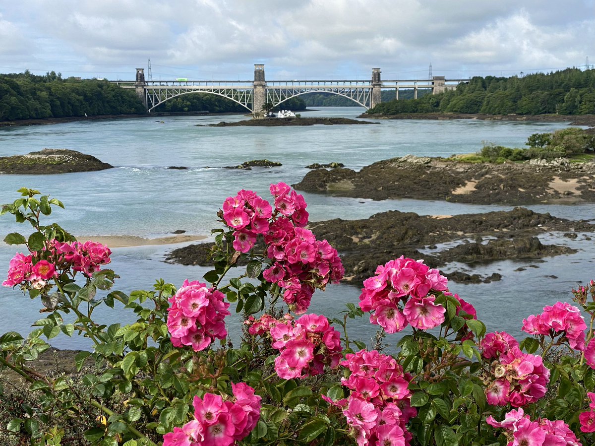 The Menai Strait and Pont Britannia. Seals too 🦭 #MenaiStrait #Anglesey #NorthWales #Landscape #RobinsonRoams