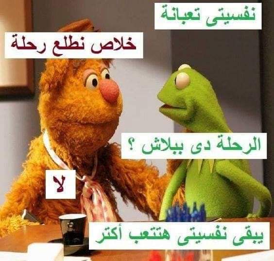 Ahmed Tharwat (@ahmedtharwats) on Twitter photo 