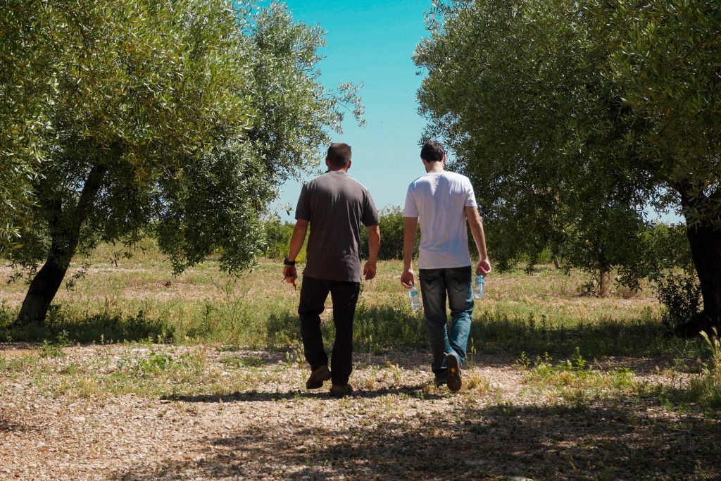 projectelliures's tweet photo. 7⃣ Oliveres i llocs de feina a La Sénia!
🚜 🫒 La cooperativa #Terram neix per vincular el sector agrari i el de l’atenció a les persones i així aportar solucions a l'abandonament de terres i a l'exclusió provocada per l’atur.
https://t.co/8fCXXCoLfP https://t.co/1LBEZcBLOY