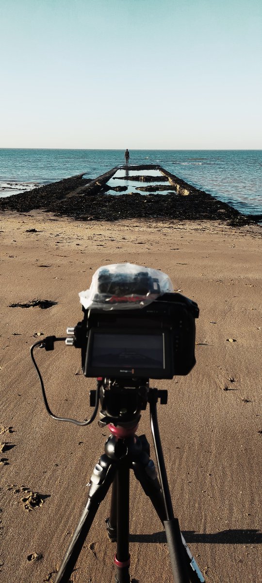 SIDEWORLD tweet media