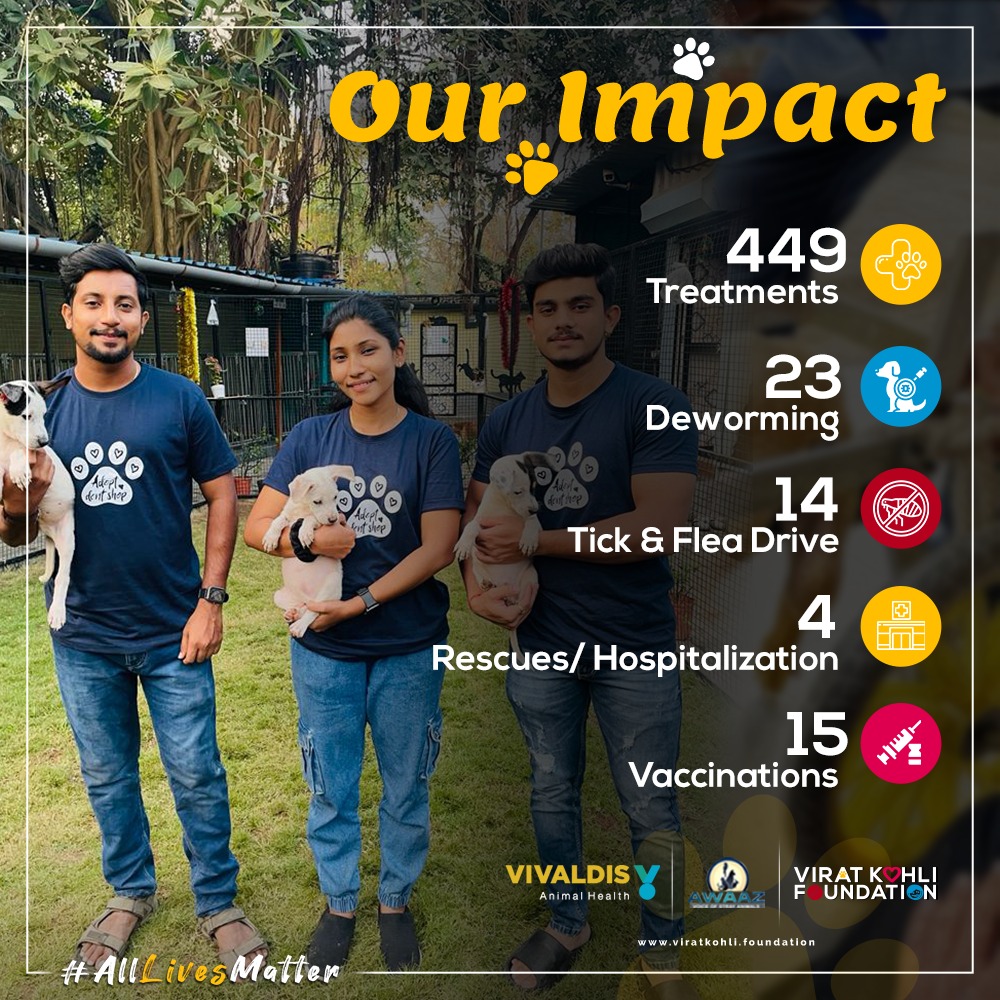 sevvafoundation's tweet photo. Our #Pawprint 🐾 for the month of June

#VKF #VKF4Change #Vivaldis #BarkOutLoud 
#AnimalWelfare https://t.co/6giaATUnqT