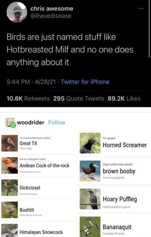 No Context Pics (@nocontextpix) / Posts / X