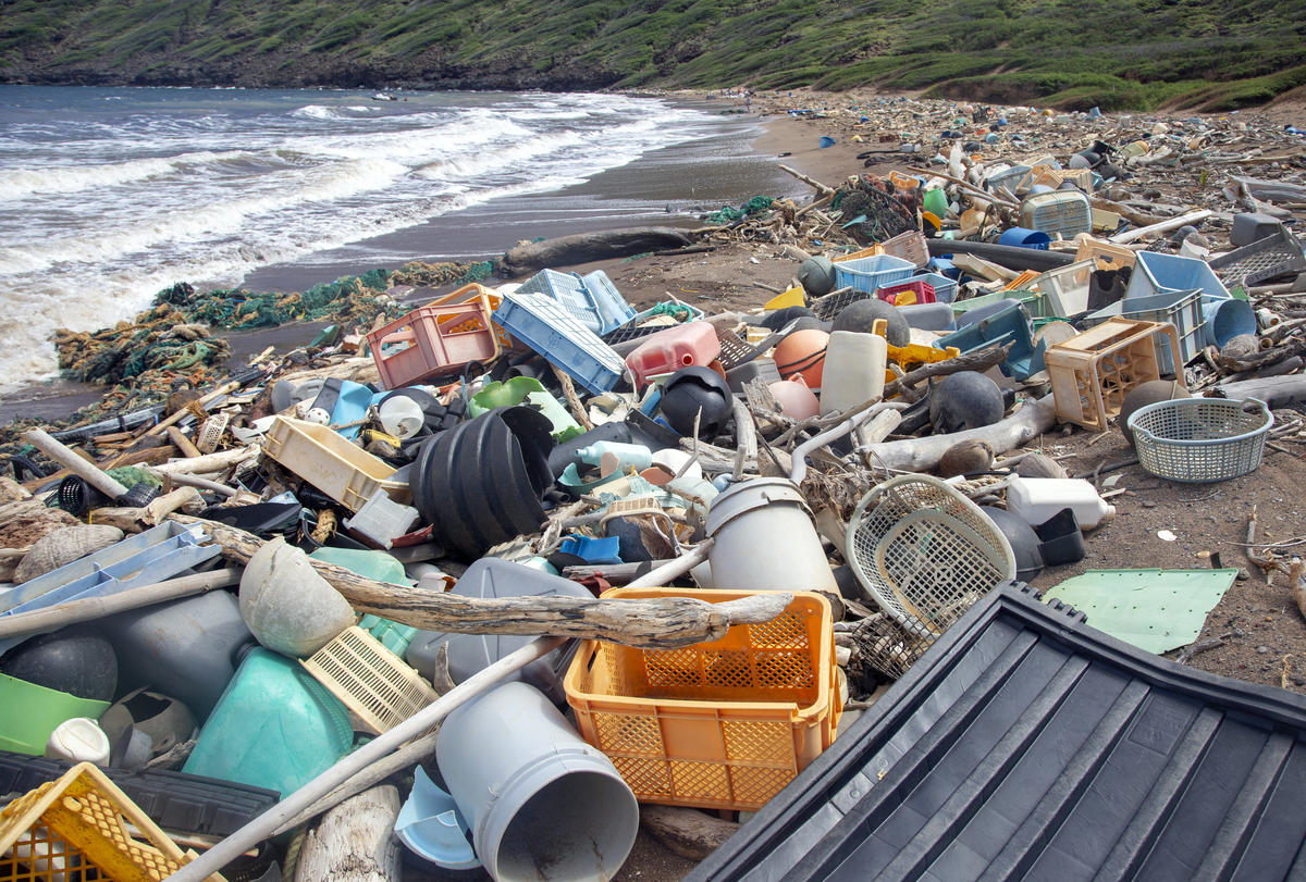 ClintoneBill's tweet photo. Plastic is everywhere - from the food we eat to the air we breathe and even in our soil. Microplastics 
could lead to oxidative stress, DNA damage and inflammation,among other health problem
#ClimateCrisis #FridaysForFuture #SaveSoil #conservation #Biodiversity #ClimateEmergency https://t.co/OQXqWuYcpB