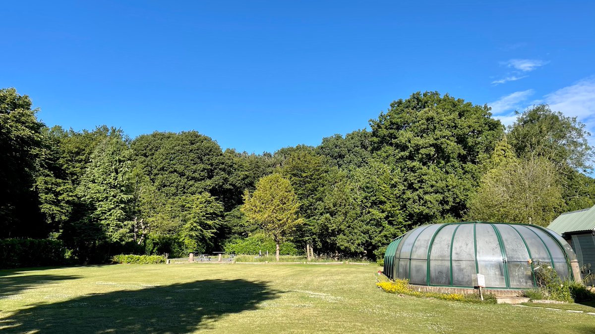 tyclyd's tweet image. Sunfolk looking beautiful this morning, if you have nothing on this week why not pop in and join us @britnaturism