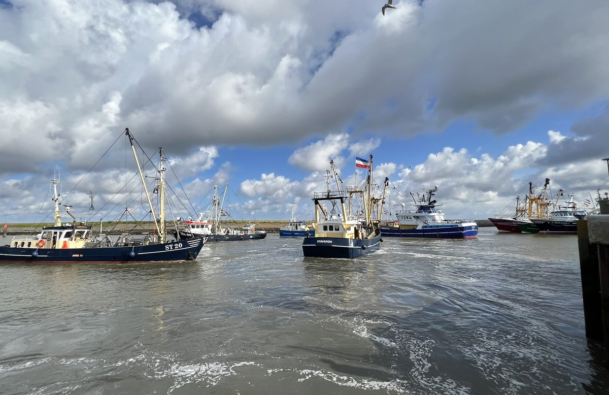 Steeds meer vissersboten varen de haven van Harlingen binnen. <a href="/OmropFryslan/">Omrop Fryslân</a> #Harlingen