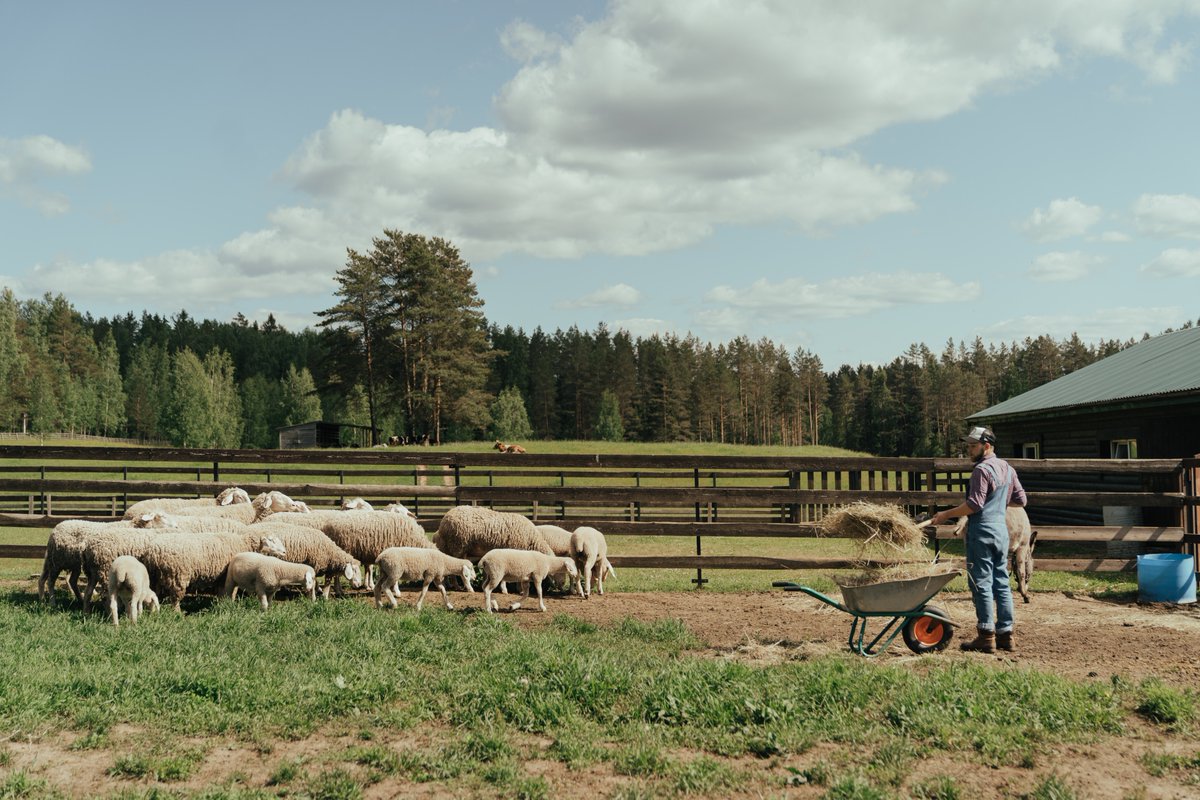 Back a top gun next-generation farmer to ensure your farming legacy.

#cultivatefarms #farming #retiringfarmer #backatopgunfarmer #farminglegacy #aussiefarmers #aussieag #regionalcommunity