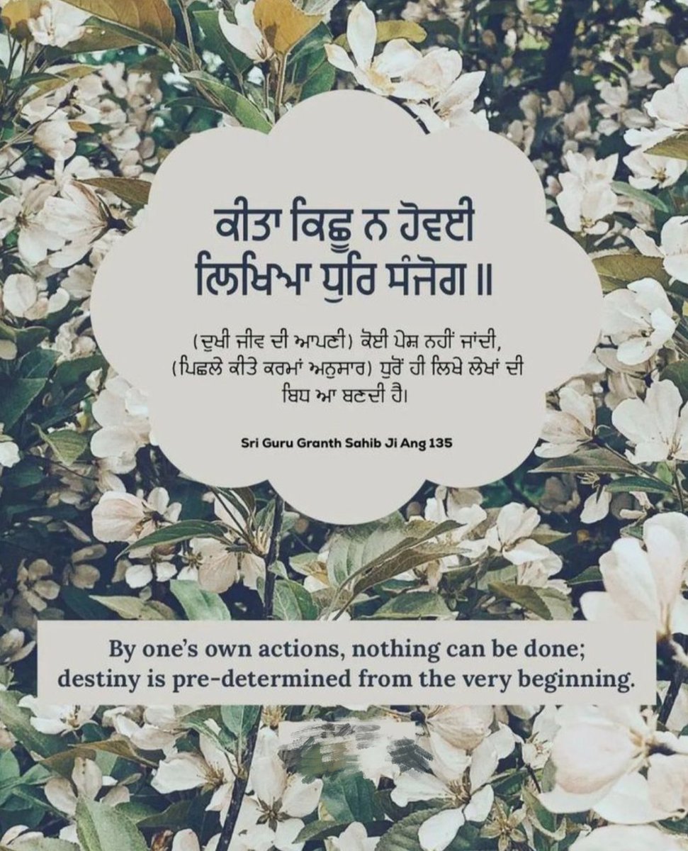 Namdhari_sikhs's tweet photo. Sri Guru Granth Sahib Ji.
.
.
.
#MondayMotivation #gurbani #waheguru #sikhism #Sikhi #thoughtoftheday #like #Share #quote https://t.co/jGpIBODzm1