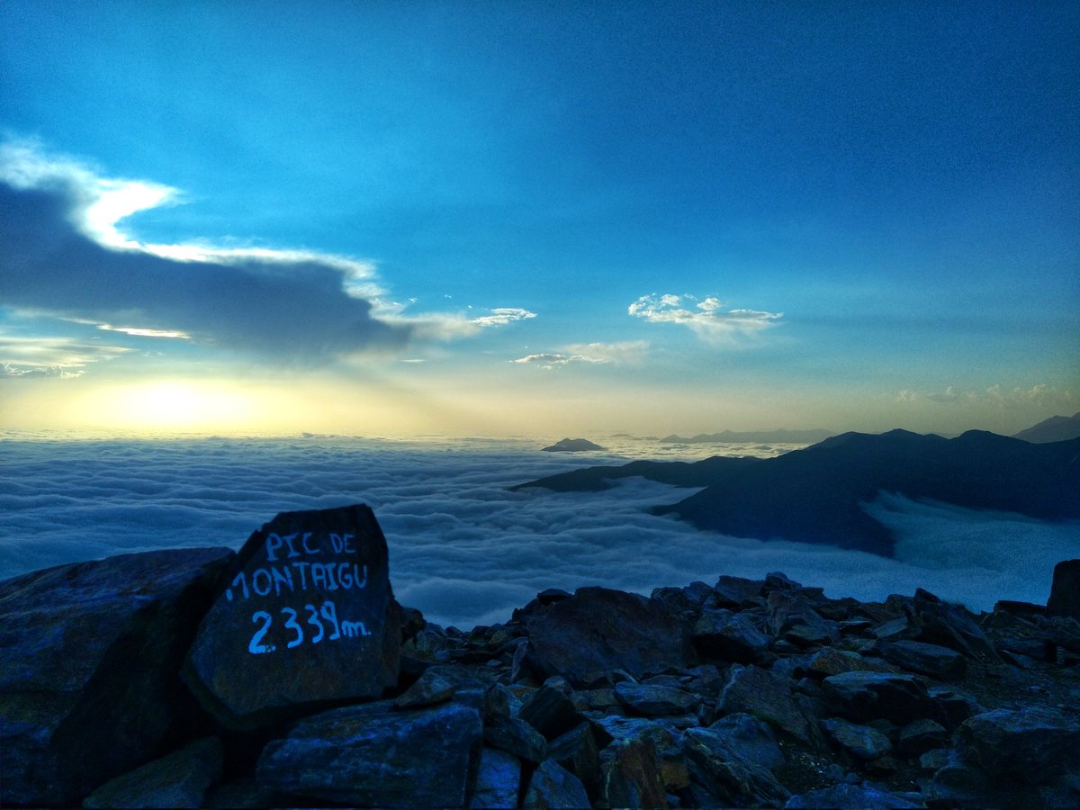 Staffan Jacob tweet media