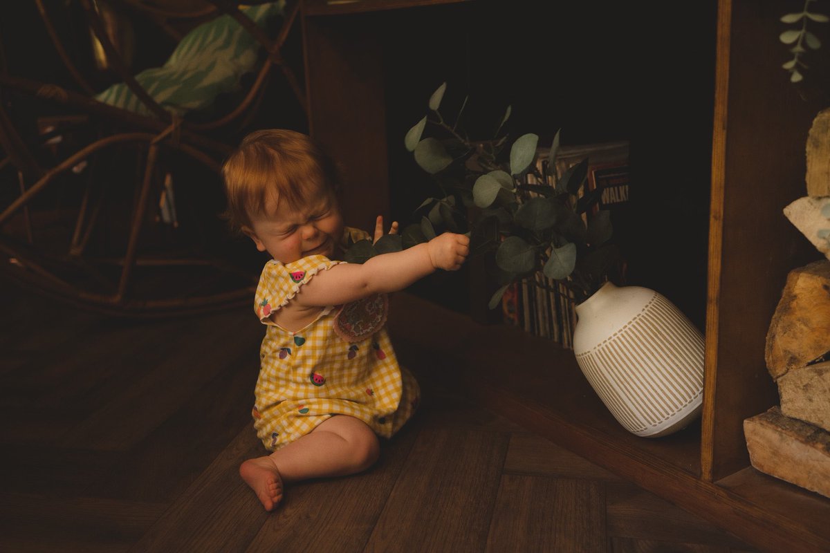jessalred's tweet photo. Capturing the moment! 📷 

I love that I captured this shot at the weekend for this little ones photo shoot - letting her do her own thing for a bit and this happened!

*no babies or plants were harmed!

https://t.co/5mggHY6bWJ

#photography #memories #baildon #bradford https://t.co/rdsNZtCHLC