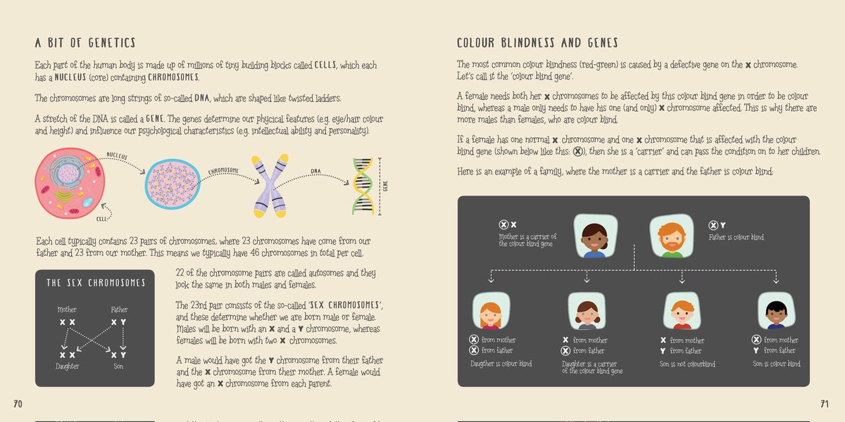 About 1 in 12 males and 1 in 200 females are colour blind. But why this difference? 🤔
Here are pages 70-71 in 'Our colourful world - a reference book for curious minds' 🌈🎨👀

<a href="/colourblindorg/">ColourBlindAwareness 🇺🇦 🌻</a>
#colour #colours #teaching #teacher #ks3 #colourblindness #colourblind #science