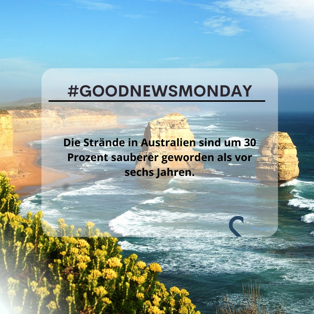 Hallo Montag! #goodnewsmonday ☀️

#thereforyou #thereforchildren #thereforclimate #thereforhumanity #thereforanimals #strand #beach #australien #climatechange #takeactionnow