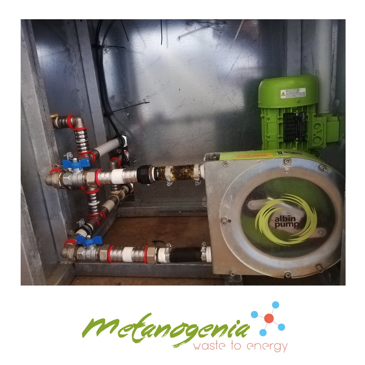 Metanogenia tweet media