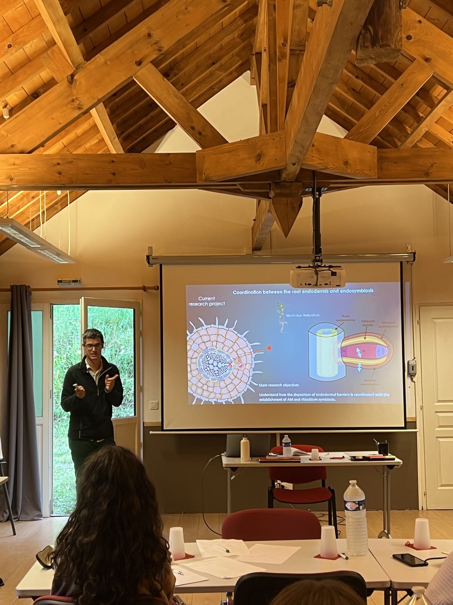 Day 2 of #TULIPSummerSchool22 🌷is off to a great start with @GuilhemReyt from @LIPME_Toulouse #LIPME discussing his research on the interaction between root barriers and microbiota! 🌱🦠 via @Matt_Ben_