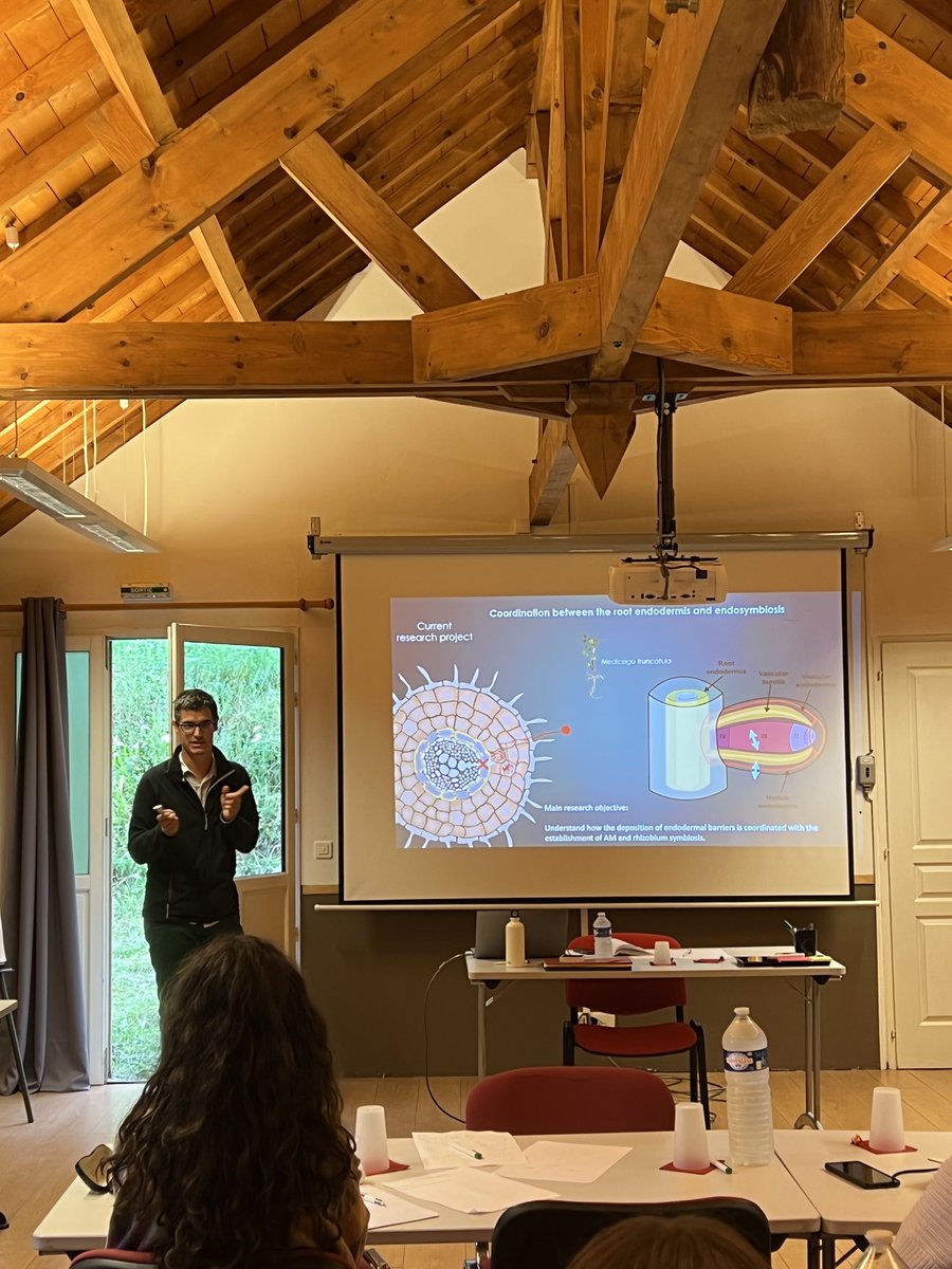 LIPME_Toulouse's tweet photo. Day 2 of #TULIPSummerSchool22 🌷is off to a great start with @GuilhemReyt from @LIPME_Toulouse #LIPME discussing his research on the interaction between root barriers and microbiota! 🌱🦠 via @Matt_Ben_ https://t.co/leV4DuHeKd