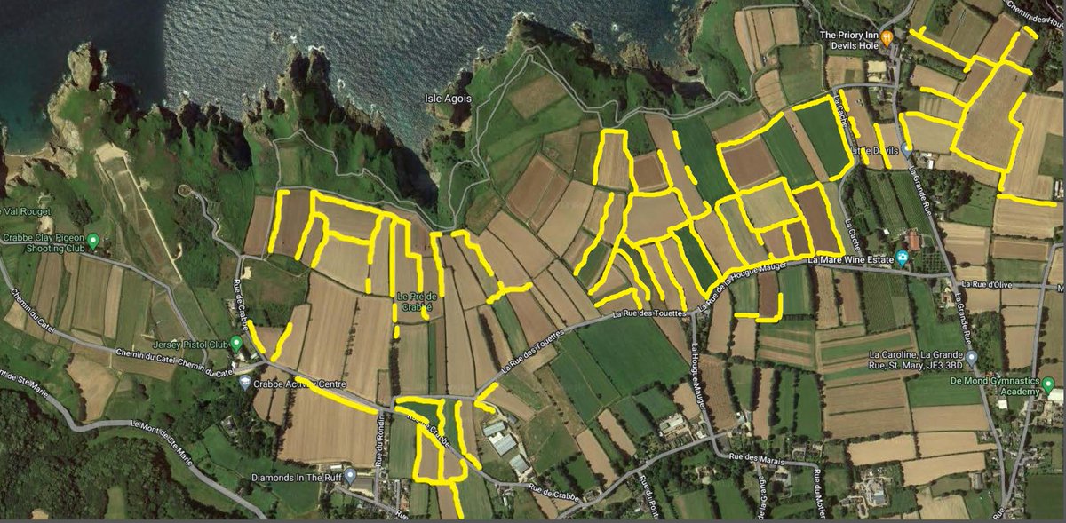 NationalTrustJersey (@nattrustjersey) on Twitter photo Hedge Fund Campaign...wonderful to see all the hedgerows that were planted by Conrad, Jersey Royal staff & our volunteers during the winter 2021..well done team <a href="/GovJersey/">Government of Jersey</a> <a href="/climatejsy/">Climate Jersey</a> <a href="/JerseyRoyalCo/">Jersey Royal Co</a> @StMaryJersey <a href="/intoheritage/">International National Trusts Organisation (INTO)</a> Hedge Fund Campaign...wonderful to see all the hedgerows that were planted by Conrad, Jersey Royal staff & our volunteers during the winter 2021..well done team <a href="/GovJersey/">Government of Jersey</a> <a href="/climatejsy/">Climate Jersey</a> <a href="/JerseyRoyalCo/">Jersey Royal Co</a> @StMaryJersey <a href="/intoheritage/">International National Trusts Organisation (INTO)</a>