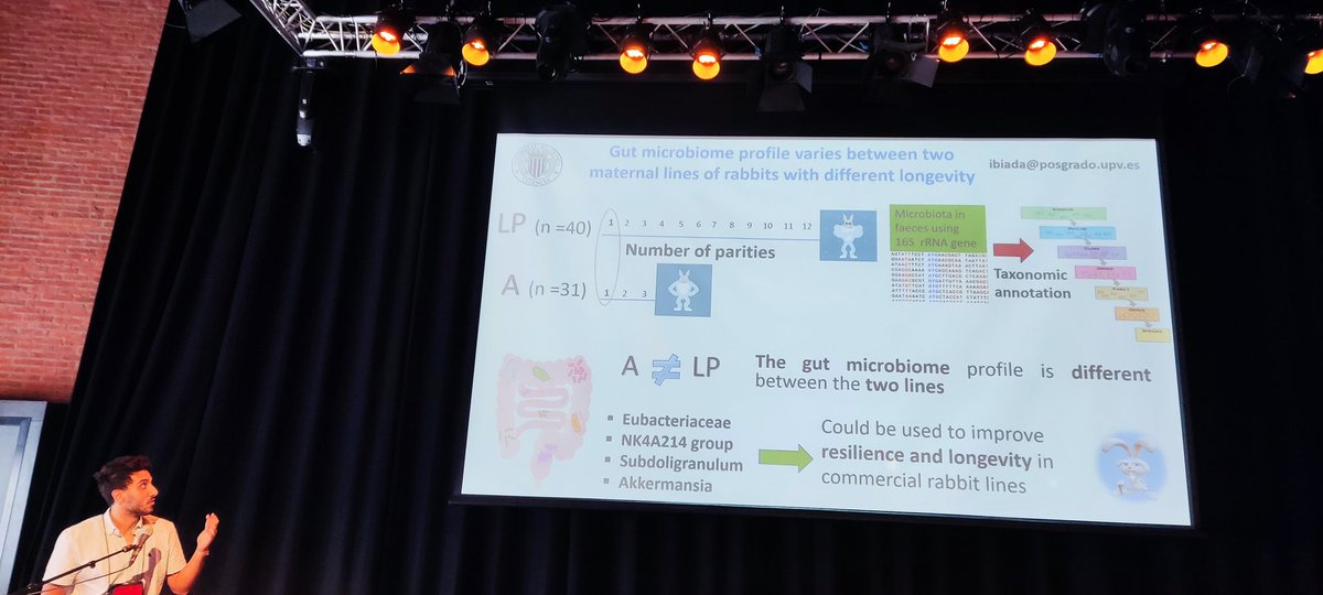 Noelia Ibañez-escriche (@ibanez_escriche) on Twitter photo <a href="/ilyassbiada/">iliyass biada</a> from <a href="/UPV/">Universitat Politècnica de València</a> has identified potential microbiome taxa regulating Longevity & Resilience in rabbit. Well done! <a href="/ilyassbiada/">iliyass biada</a> from <a href="/UPV/">Universitat Politècnica de València</a> has identified potential microbiome taxa regulating Longevity & Resilience in rabbit. Well done!