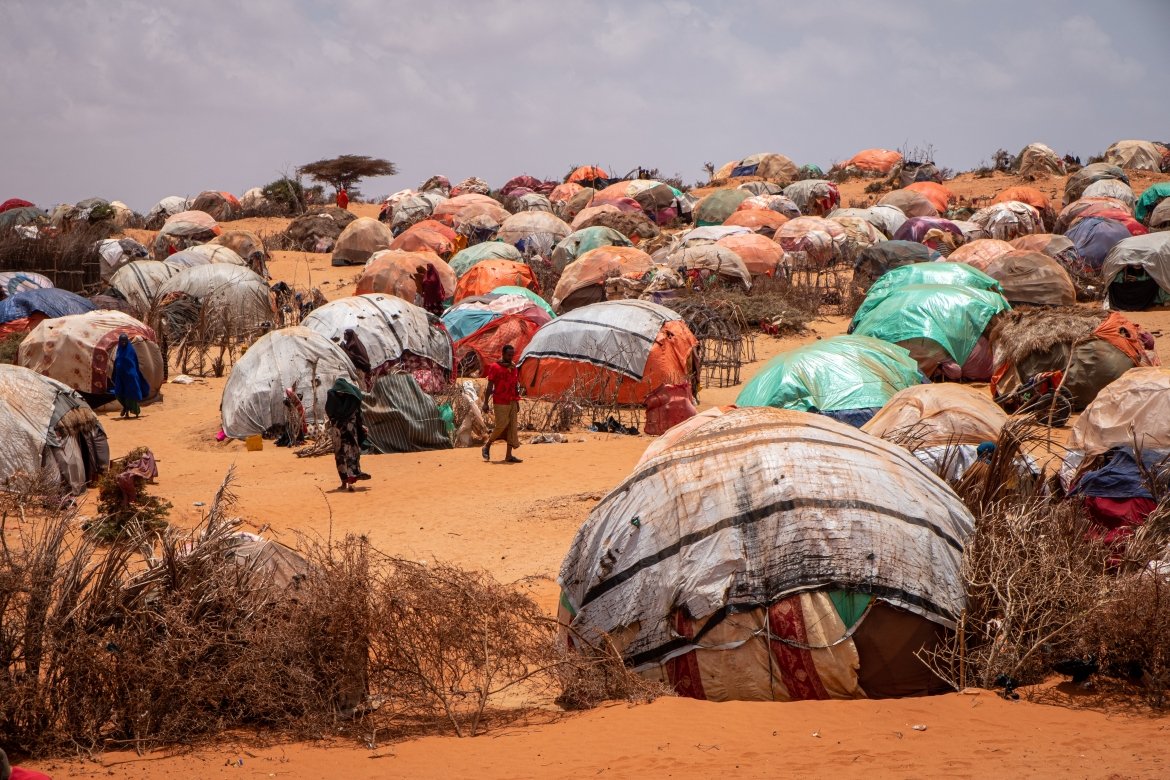Fadumozah's tweet photo. Somalia is in the middle of its worst drought in decades, it has caused large-scale crop failures and livestock deaths, impacting livelihoods and food supply. 
#DroughtinSomalia https://t.co/6bjnqE5H1P