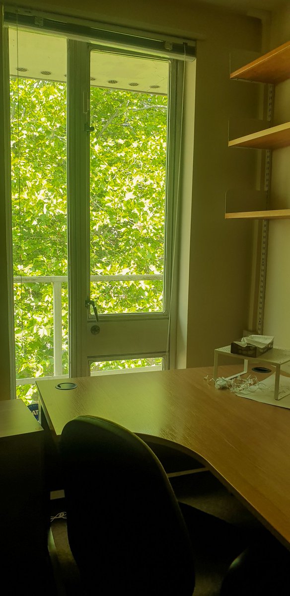 Inactive Account tweet media